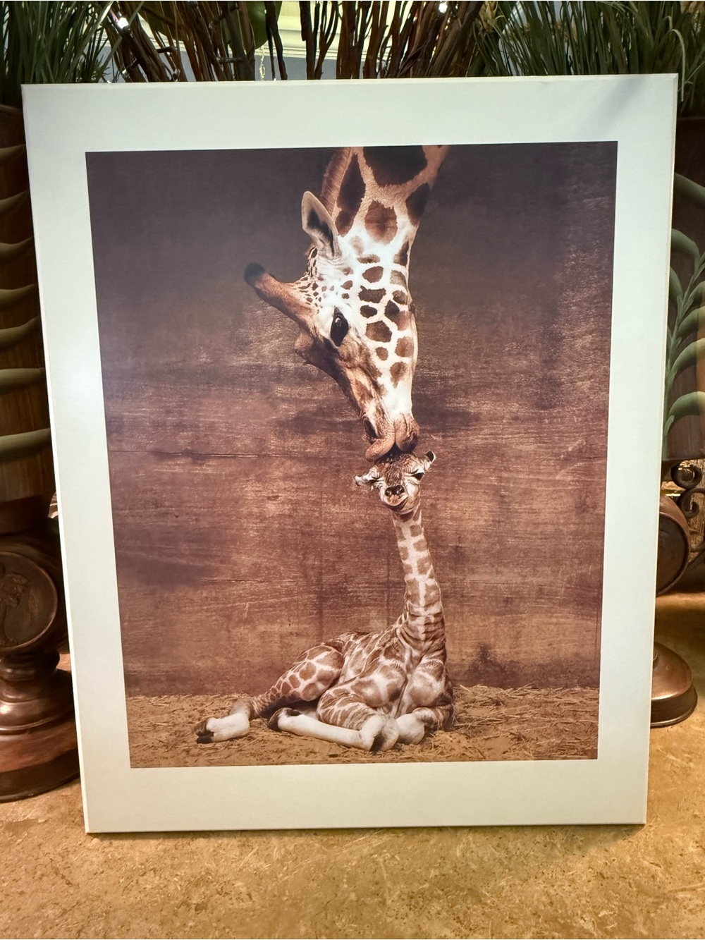 "Makulu" Giraffe "Mother Love First Kiss" by Ron D'Raine